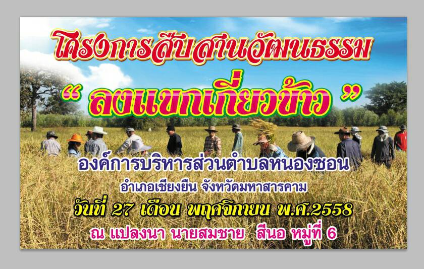 โครงการสืบสานวัฒนธรรม " ลงแขกเกี่ยวข้าว " 